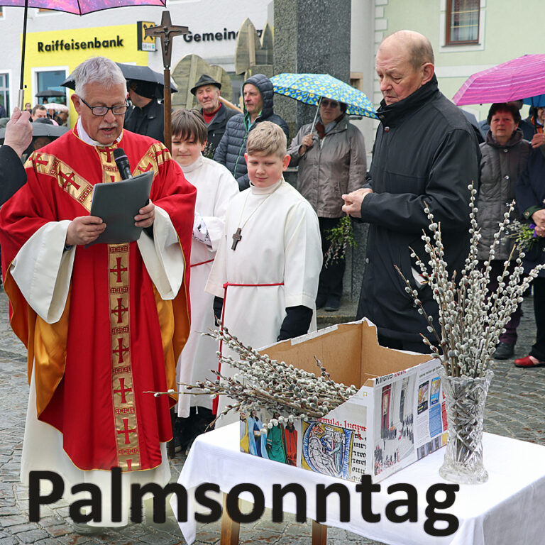 Read more about the article Palmsonntag – Beginn der Karwoche