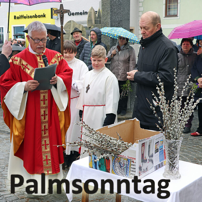 Mehr über den Artikel erfahren Palmsonntag – Beginn der Karwoche