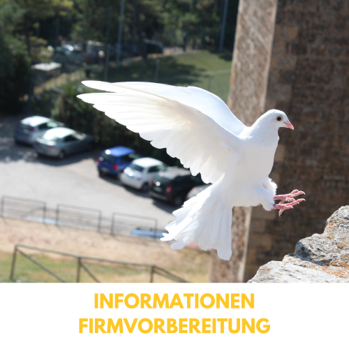 Mehr über den Artikel erfahren Informationen zur Firmvorbereitung