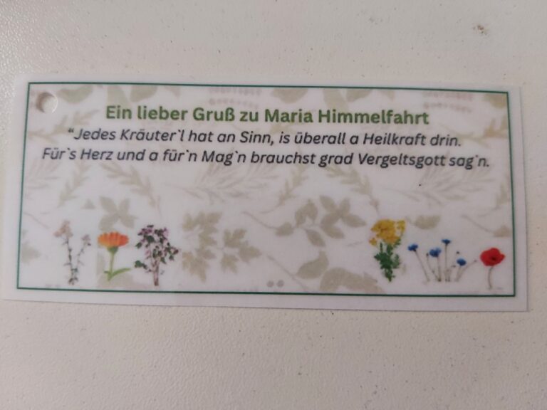 Mehr über den Artikel erfahren Einladung zur Kräuterweihe